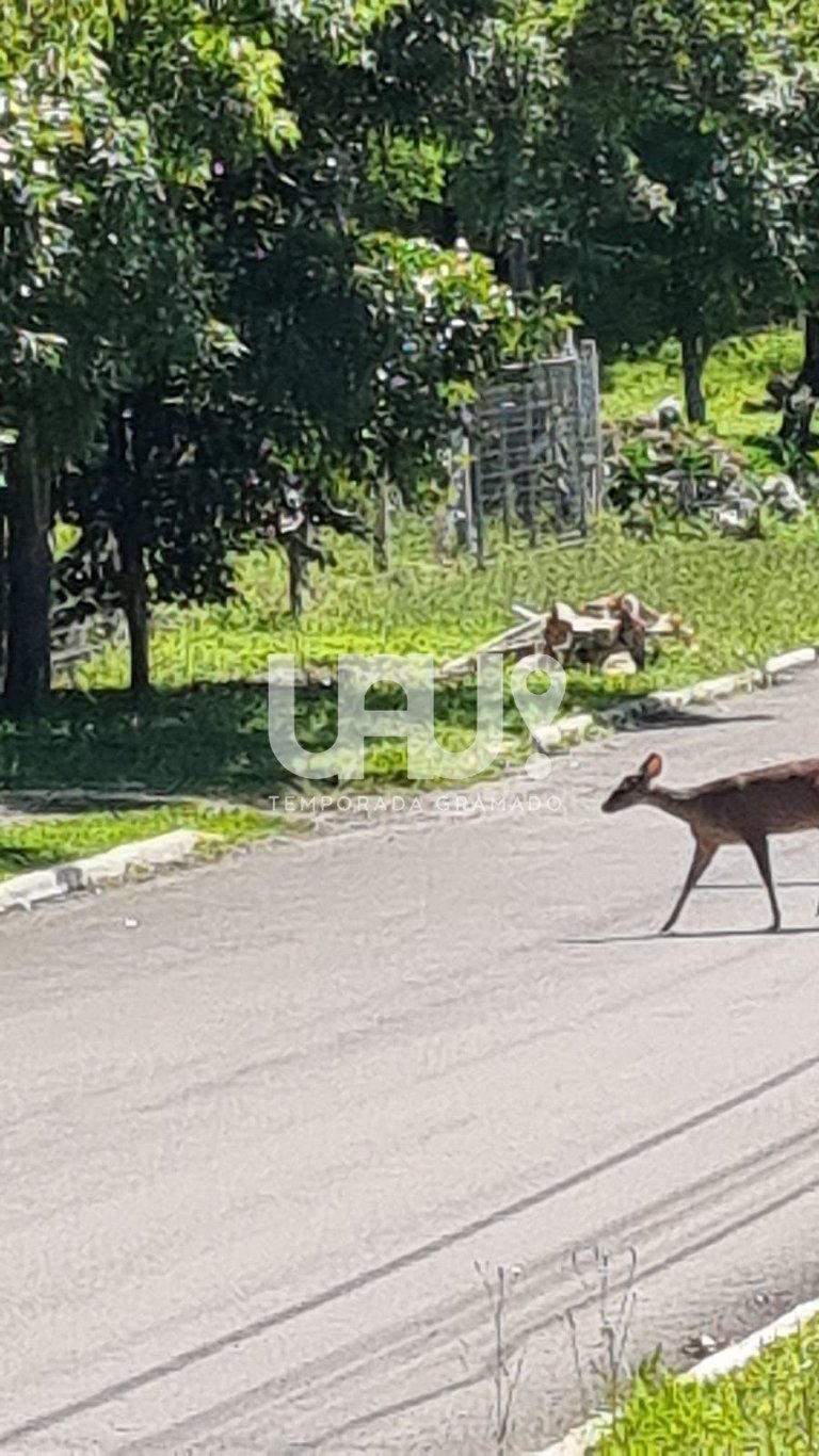Casa 3Dorm. com piscina, jacuzzi e lago privativo!