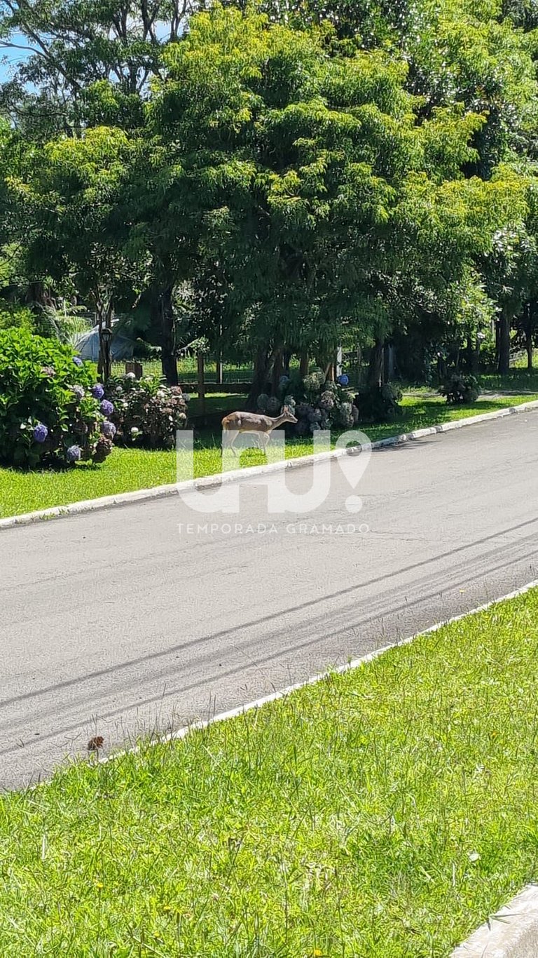 Casa 3Dorm. com piscina, jacuzzi e lago privativo!