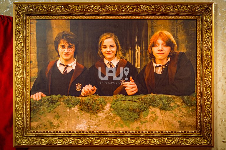 Apartamento Harry Potter