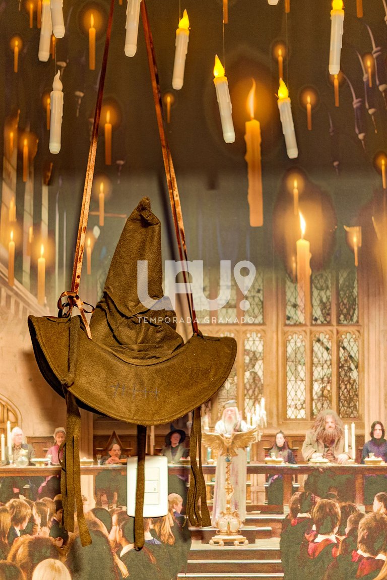 Apartamento Harry Potter